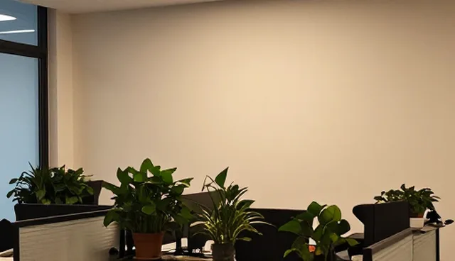 技术服务应用场景分析：如何选择合适的技术方案